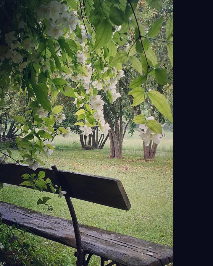 Maison Blanche Cherval Εξωτερικό φωτογραφία